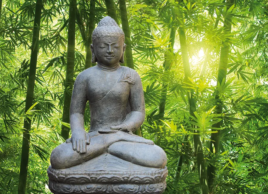 buddha-assis-meditation.webp
