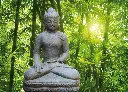 buddha-assis-meditation.webp
