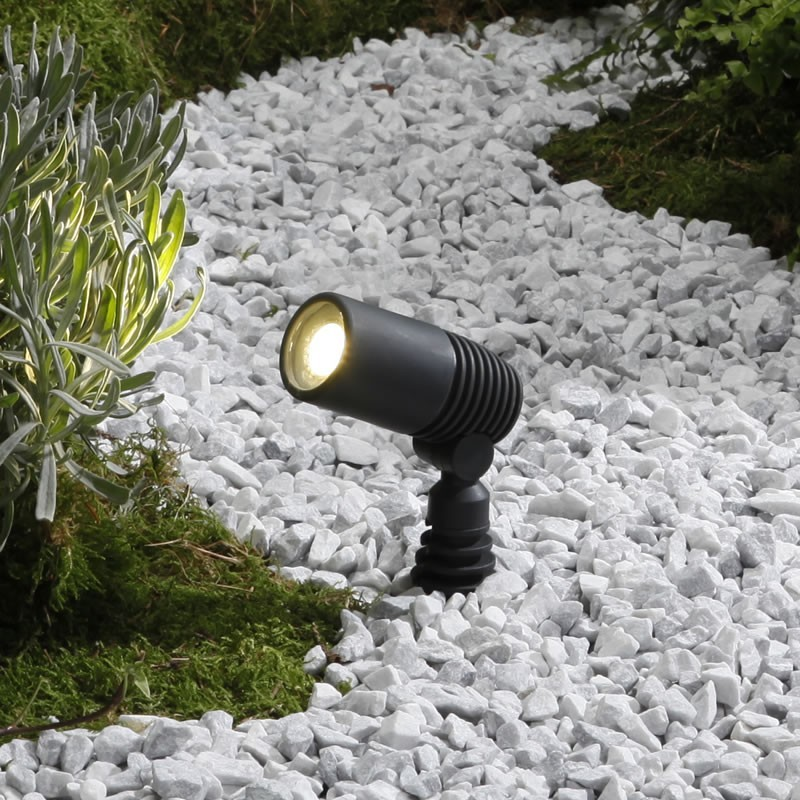 Alder spot 12 V 2W Led