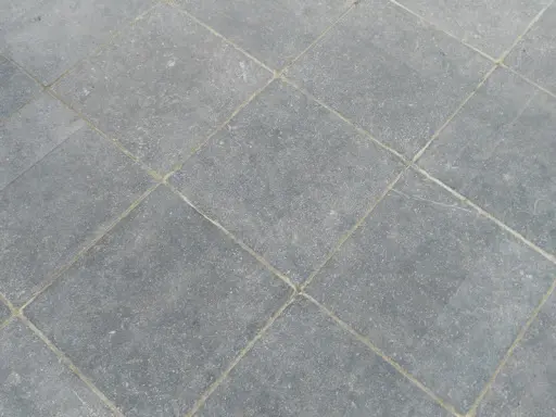 soignies claire.webp