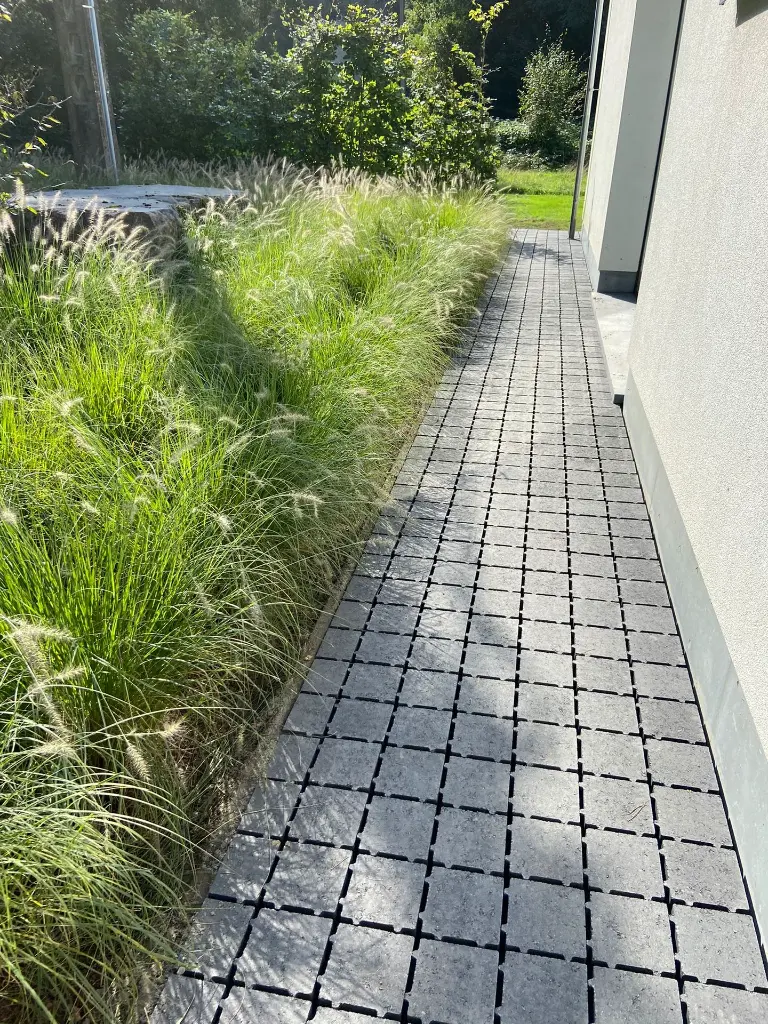 WhatsApp Image 2024-10-28 at 12.40.29.webp