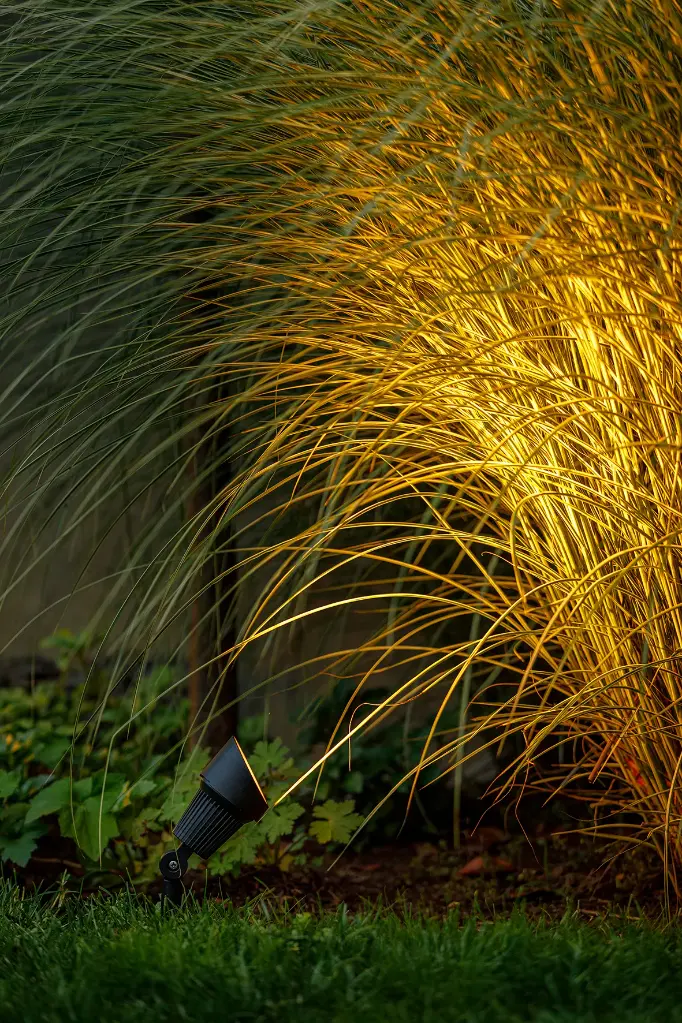 focus.smart.garden.lights.webp