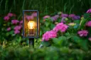 limosa.70.garden.lights.garden.2.webp