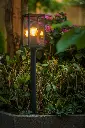 limosa.70.garden.lights.garden.webp