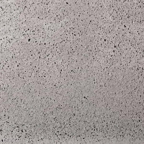 Schellevis.Gris - Web.webp