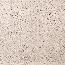 Schellevis. Creme - Web.webp