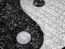 Kit Yin Yang