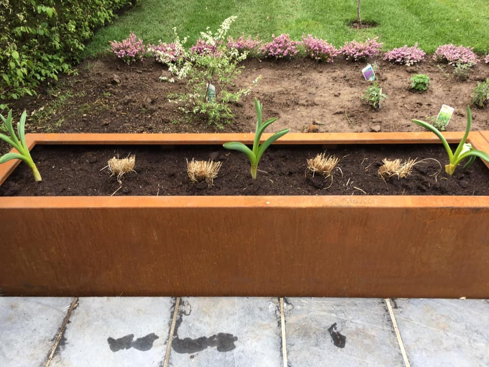 Bac en acier corten rectangulaire 2 mm