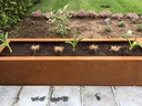 Bac en acier corten rectangulaire 2 mm