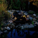 Spot ARIGO LED 12 V
