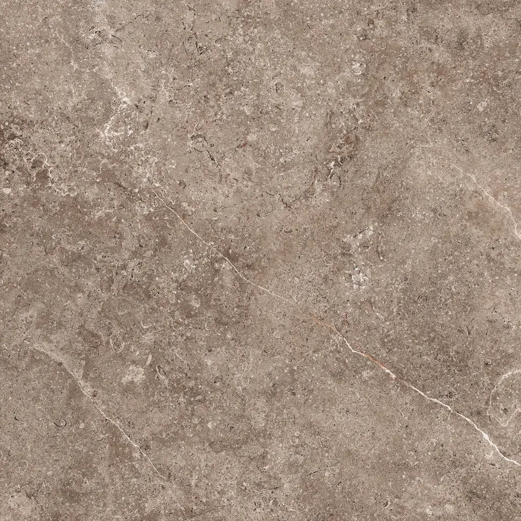 Geoceramica.100x100x4-Landstone-Earth-(Dark-Taupe).webp