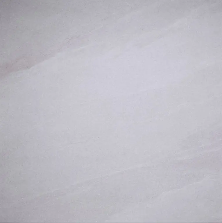 GeoCeramica-100x100x4-Vena-Silver-Grey.webp