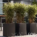 Modele EOS.2..webp