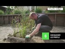 youtube - [Video]