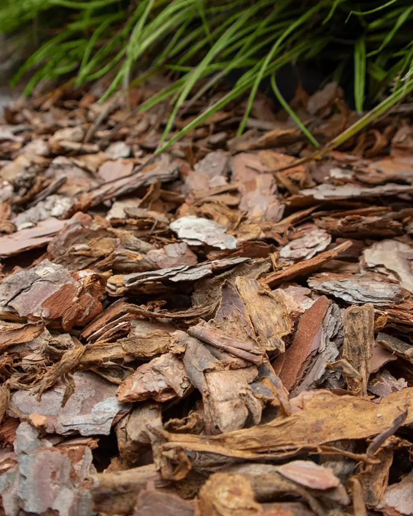 Capture d’écran 2025-05-26 à 17.08.31 (1).webp