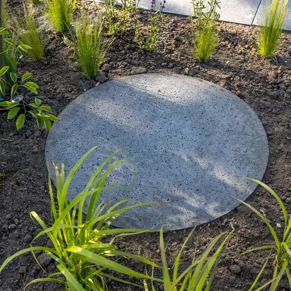 Schellevis -42 - Web.webp