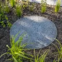 Schellevis -42 - Web.webp