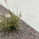 Substrat pierre de lave en Bigbag