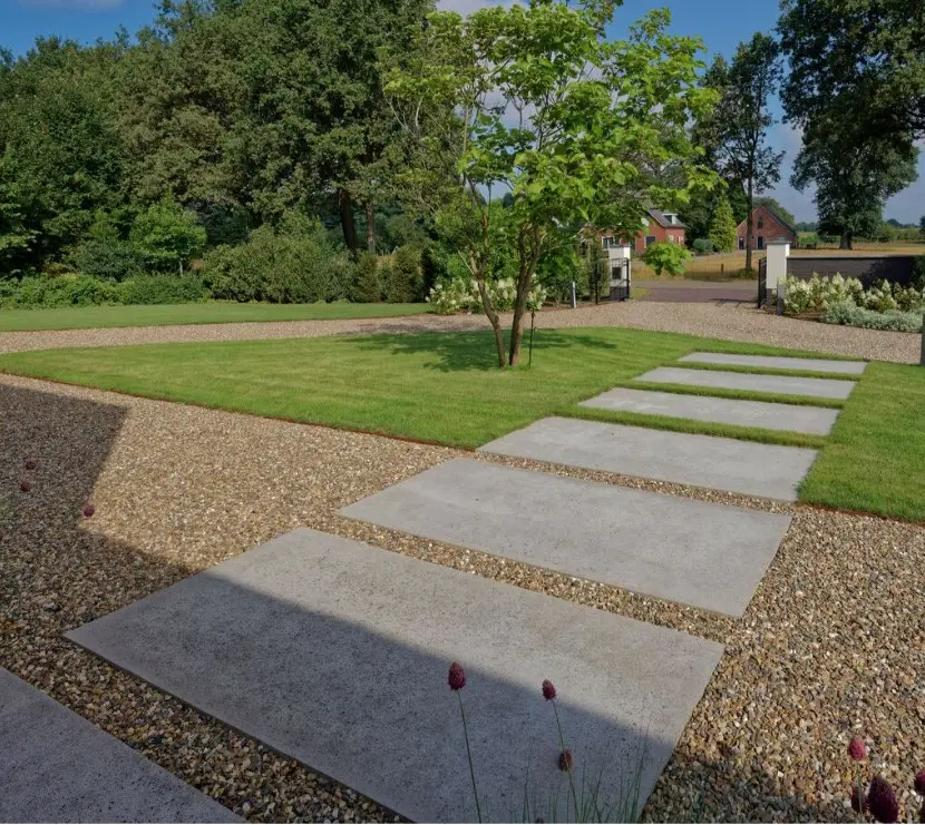 Megadalle Schellevis 