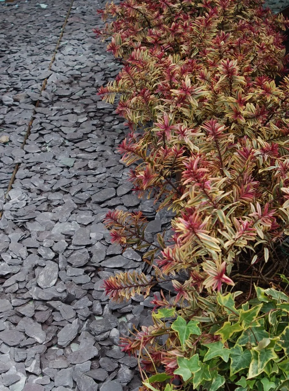 Ardoise en bigbag livré a votre domicile (500 kg, 15/30, Noire)