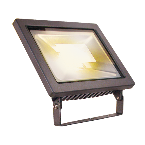 Flood 12 spot 12 V 12 W 750 Lm